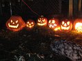 IMG_3131