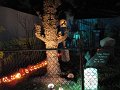 IMG_3090