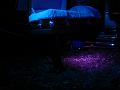 IMG_1380